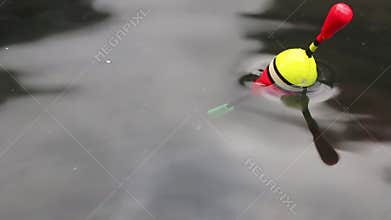 Catch of fish.