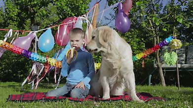 Boy, dog and banana