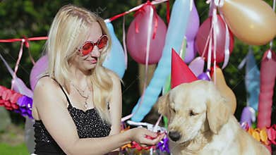 Dog eats strawberry.