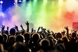 Silhouettes of concert crowd