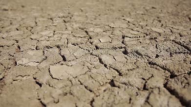 Dried Soil, slider shot