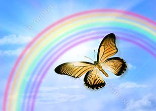 Butterfly Sky Rainbow