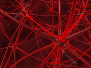 Neuron
