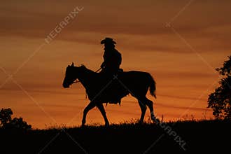 Cowboy Silhouette