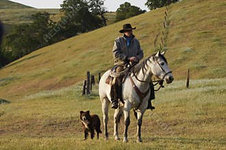 Cowboy and Dog