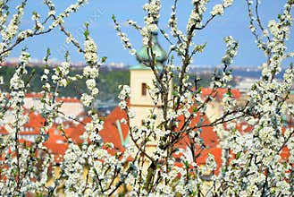 Springtime in Prague