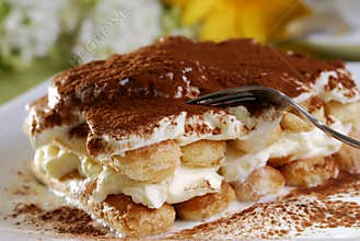 Tiramisu Dessert
