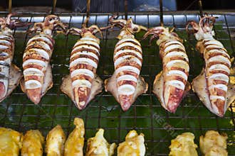 Squid grilled on the gridiron