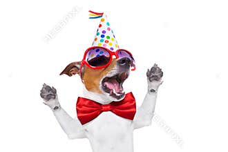 Happy birthday dog singing