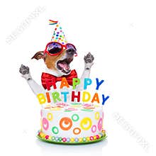 Happy birthday dog singing