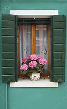 Window with hydrangea