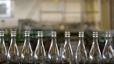 Many bottles on conveyor belt