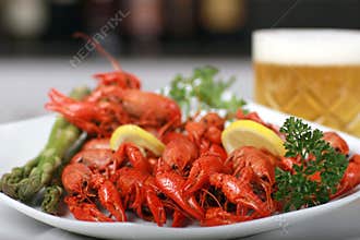 Crawfish and beer