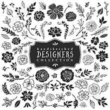 Vintage decorative plants and flowers collection. Hand drawn