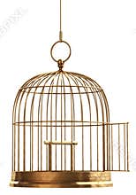 Open Bird Cage