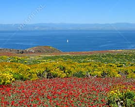 Panorama, Anacapa Island