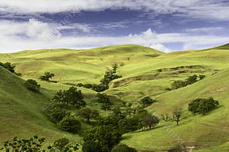 Rolling Hills in the Spring in Livermore