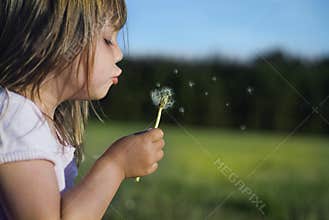 Blowing dandelion