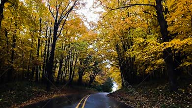 Fall road