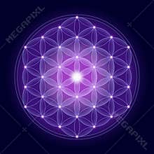 Bright Flower of Life With Stars
