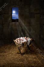 Jesus on the Manger