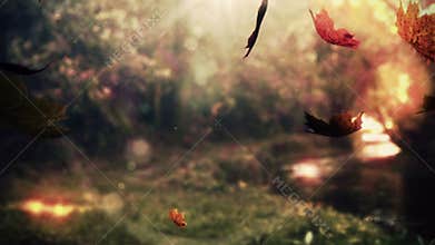 Autumn leaves falling
