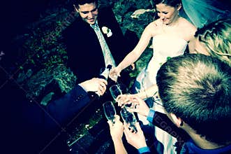 Bridal Party