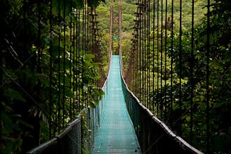 Hanging bridge