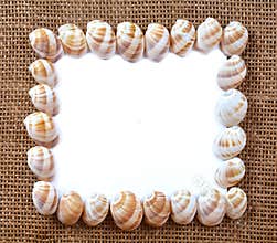 Seashell frame
