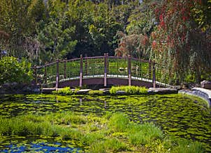 Lush Japanese garden featuring a green bridge