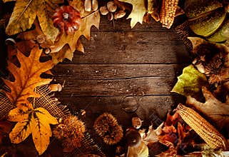 Thanksgiving dinner