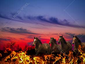 Horses of the Apocalypse
