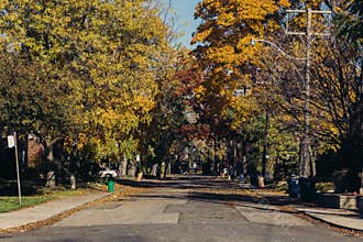 Streets of Toronto During the Fall