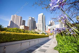 Flowers in Yerba Buena Gardens park, San Francisco