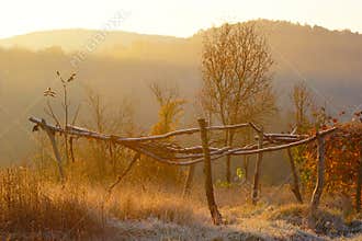 Abandoned Garden In Autumn Morning
