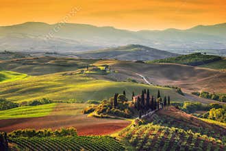 Tuscany landscape at sunrise. Tuscan farm house, vineyard, hills.