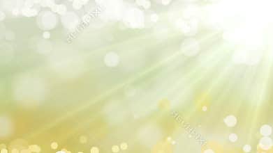 Yellow, Chamomile, Background, Loop, Bright, Soft, Particle, Nature, Seamless, Love, Beaty, Slow, Shiny, Silk, Defocused, Smooth
