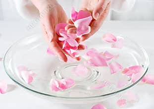 Rose Petal Spa