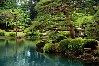 Calm Zen lake and bonzai trees