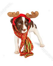 Cute Puppy Christmas Reindeer