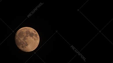 large white moon disk in dark night sky
