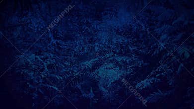 Moving Under Dense Jungle Canopy At Night