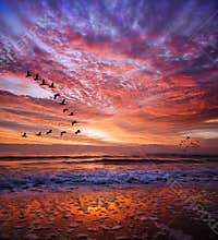 Red magical sunset.BULGARIA