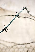 Barbwired fence