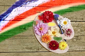 Palette with flowers