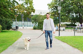 Happy man with labrador dog walking in city