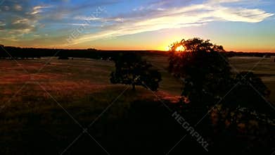 Prairie pasture land at sunset