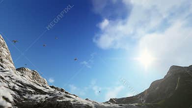 Pigeons flying, snowy mountains