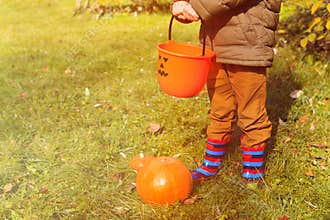 Little boy with pumpkin in autumn fall