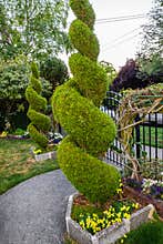 Spiral bushes